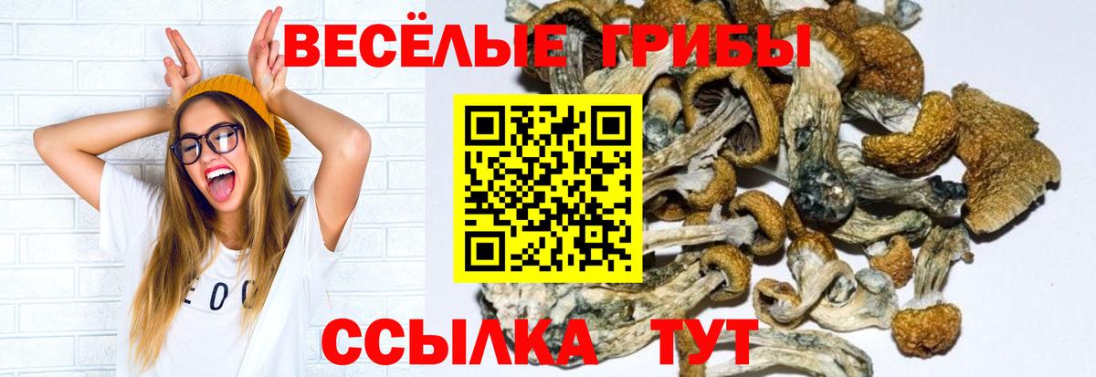 даркнет сайт  Галлюциногенные грибы ЛСД  Галлюциногенные грибы Psilocybe  Вход с VPN  Кудымкар 
